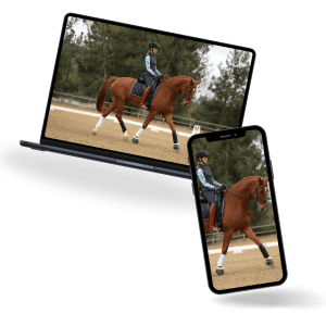 Dressage rider training a bay horse in an outdoor arena on phone and laptop platforms