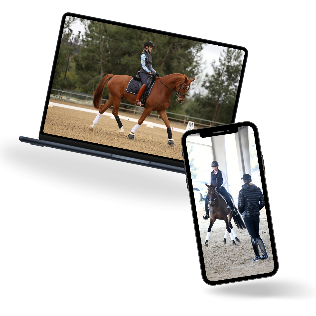 Dressage rider training a bay horse in an outdoor arena on two platforms