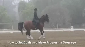 C:\Users\Niamh\Downloads\makr progress and set goals