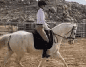 A person wearing a helmet, white shirt, and tan pants is riding a white horse in an outdoor sandy arena with rocky hills in the background, perfect for training at the 2025 Bootcamp.