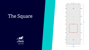 A diagram labeled The Square shows a dressage arena with a highlighted square marked in orange inside the arena, and arena letters labeled around the border—one of Amelia’s top 10 training exercises.