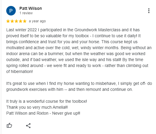 A Google review by Patt Wilson praises the Groundwork Masterclass for building confidence in handling horses, especially during winter. She highlights the course’s usefulness, expressing gratitude and recommending it to others.