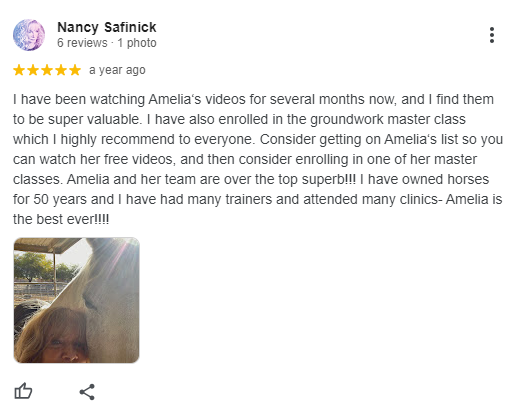 A woman smiles while a white horse nuzzles her face. The image accompanies a positive review about Amelias horse training videos and classes.