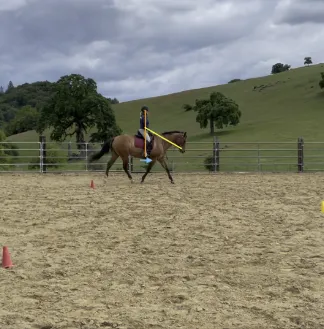 A Free Rider rides a brown horse in an outdoor sandy arena, practicing position training amid red and yellow cones. The fenced space is bordered by grassy hills, and the sky above is cloudy.