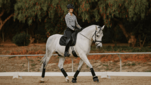 Before you canter, work on your trot