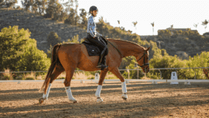 Free Walk in Dressage