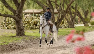 A person in a black cowboy hat and patterned shirt canters on a white horse along a dirt path lined with trees, passing large leafy plants and pink flowers in the background—captured vividly with Canter V2.