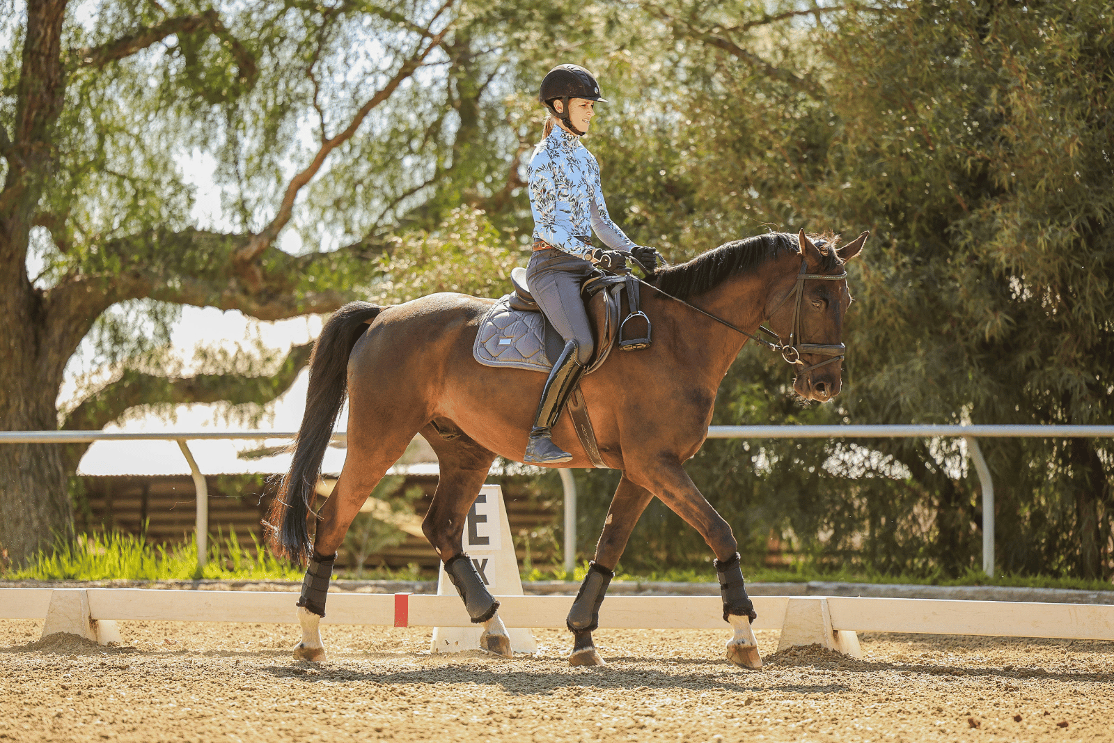 A person wearing a helmet, blue patterned shirt, and riding boots is riding a brown horse in an outdoor arena surrounded by trees. The horse moves calmly along the sandy ground near a marker labeled “E” as they prepare to practice Canter V1.