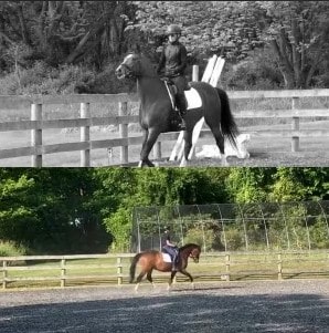 Two images show people riding horses in fenced outdoor arenas. The top image, labeled Canter V1, is black-and-white with a rider on a black-and-white horse; the bottom image is in color with a rider on a brown horse. Trees appear in the background.