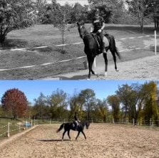 Split image: The top half is a black-and-white photo of a person riding a horse on a path with trees in the background. The bottom half shows someone cantering in color—part of the Canter V1 series—inside an open, tree-lined, sandy arena.