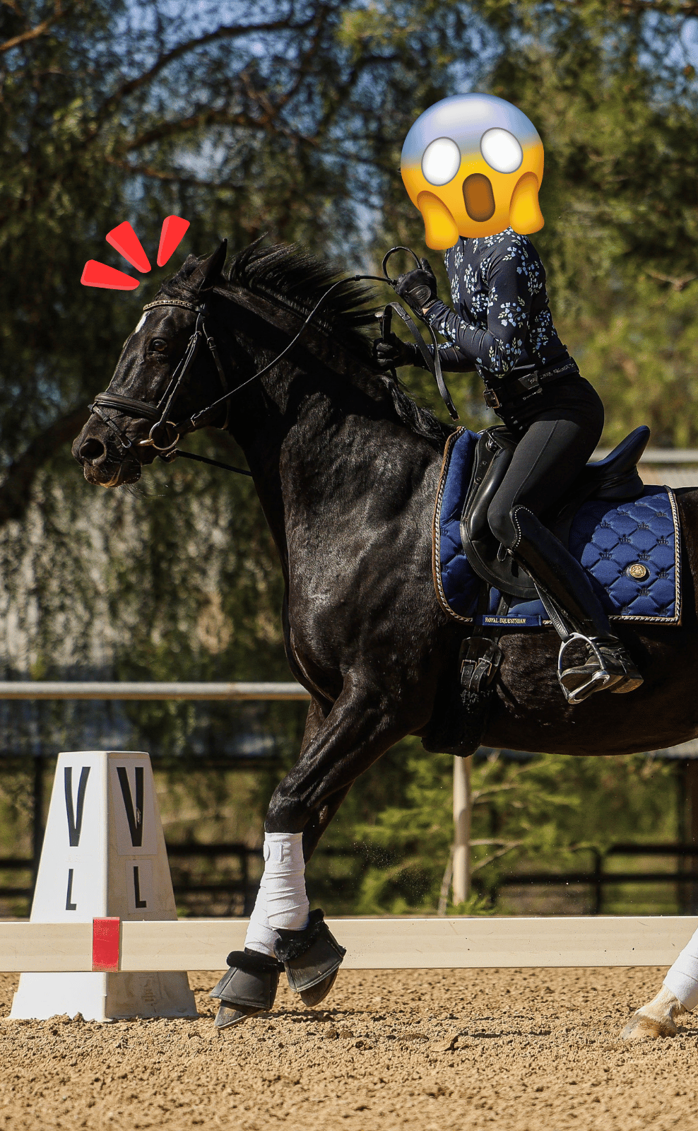 A person cantering on a black horse in an arena, wearing a dark outfit and helmet. The rider’s face is covered with a shocked emoji. The horse’s bridle is pulled, with arena markers and trees visible—an Open Page moment in action.