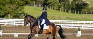 A rider in formal attire and a helmet guides a brown horse with a black mane through a dressage arena, bordered by white fencing and lush greenery, preparing for the June 2025 Bootcamp Opt-In event.