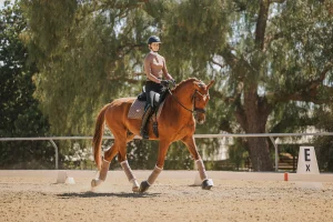 A person wearing a helmet rides a chestnut horse in an outdoor arena during the Open $297,30 Days to Round event. The horse is trotting on the sandy surface, surrounded by trees, with a marker labeled E visible in the background.