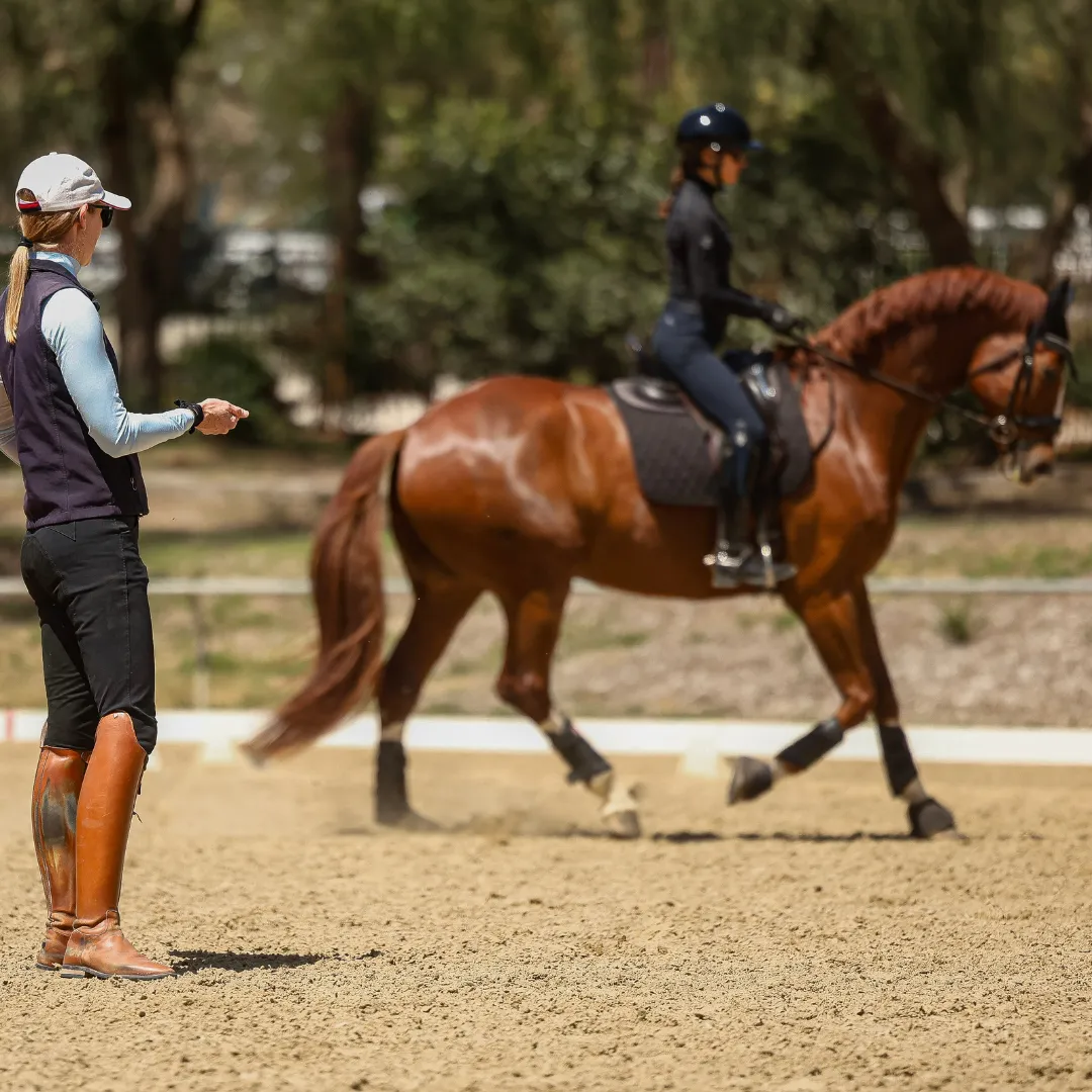 lesson plans A woman in riding gear instructs another rider on a chestnut horse in an outdoor arena during a 30 Days training program. The coach stands on the sand as the rider and horse move past, with trees and a fence visible in the background.