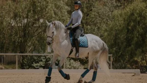 Oli B, in a helmet and riding gear, rides a gray horse with blue tack and leg wraps in an outdoor arena surrounded by trees, preparing for the 30 Days Round 2025.