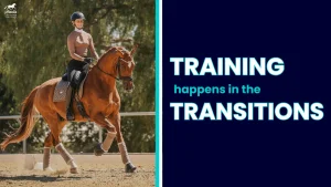 A person rides a chestnut horse in an outdoor arena on the left; on the right, bold text reads, TRAINING happens in responsive transitions against a dark blue background.