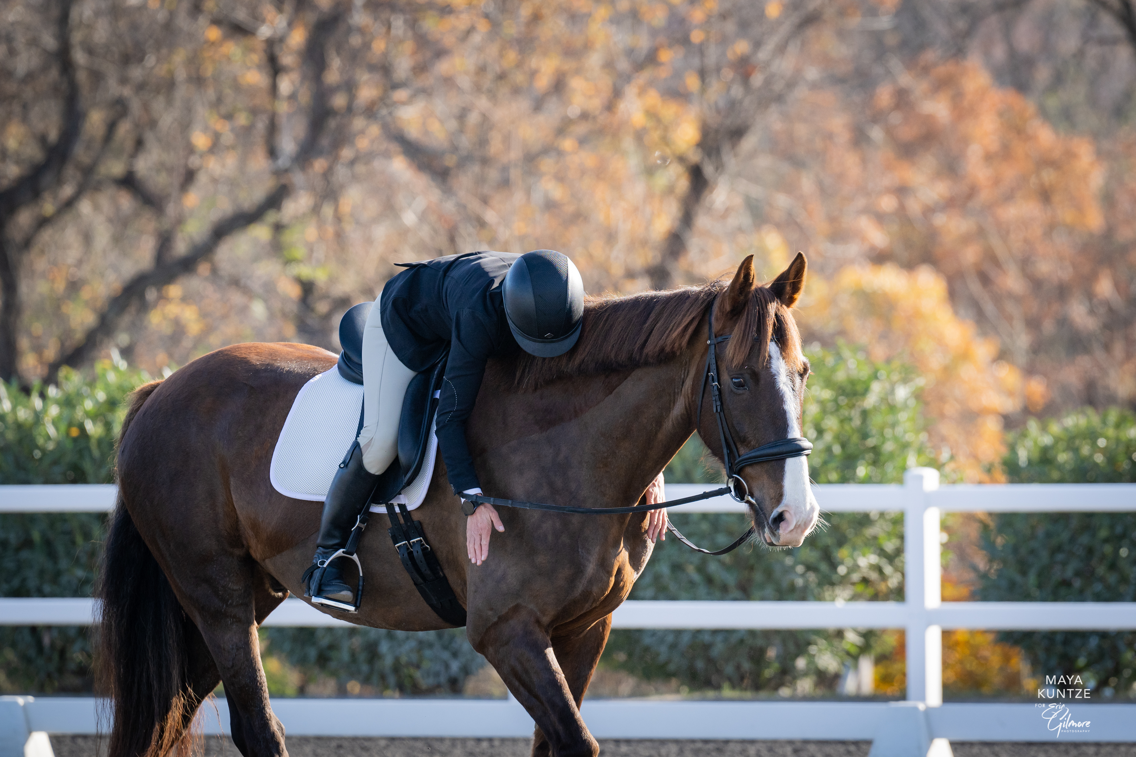 A rider in equestrian attire, possibly a Strides member like Kate, leans forward to hug their brown horse, showing affection in an outdoor arena with a white fence and autumn trees in the background.