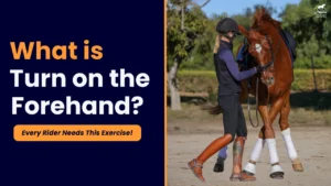 A rider in riding gear stands beside a horse, gently guiding its head while the horse steps sideways. The text reads: What is Turn on the Forehand? Every Rider Needs This Horse Training Exercise!.