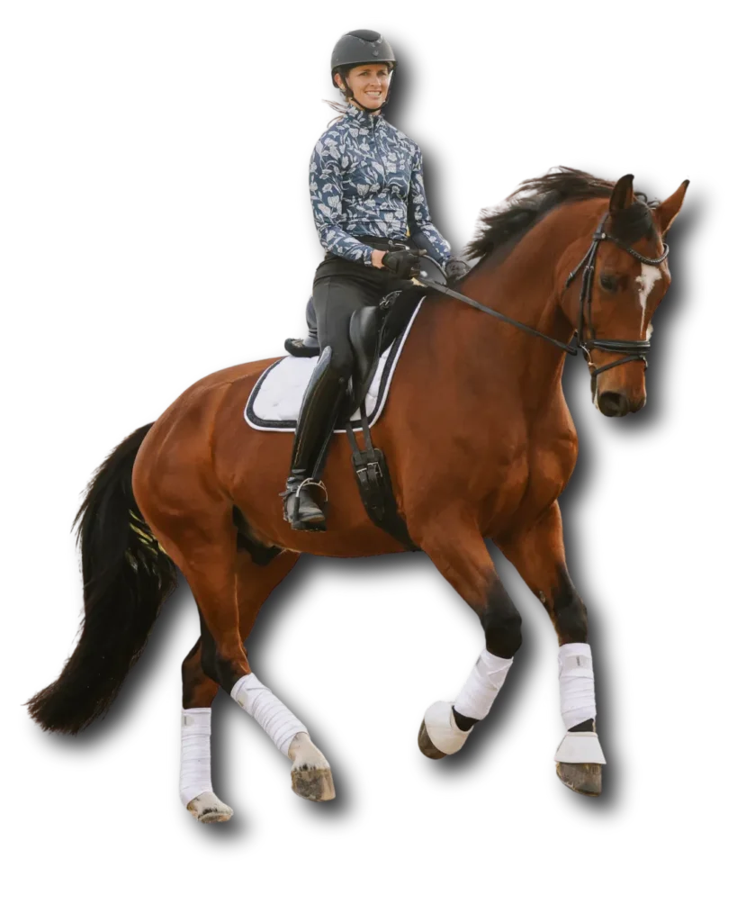 A person wearing a helmet, patterned long-sleeve shirt, and riding boots is riding a brown horse with white leg wraps and a white saddle pad. Download our free PDF to discover useful Dressage terms for riders of all levels.