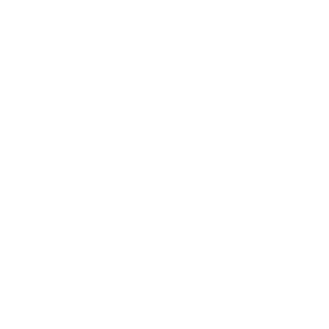 A white silhouette of a horse trotting inside a partial circle, with the words Dressage Foundations written below in bold and cursive fonts—perfect for your Dressage Foundations sale page.