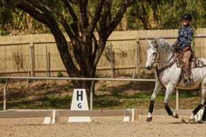 A person riding a white horse in an outdoor arena near a marker labeled H G, enjoying their Dressage Foundations course. The rider is smiling and wearing a helmet and patterned clothing, with trees and a wooden fence in the background.