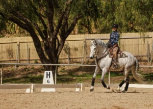 A rider in a helmet and patterned shirt showcases Dressage Foundations while riding a gray horse in an outdoor arena near a marker labeled H G, with trees and a fence in the background.