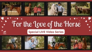 Collage of people interacting with horses, framed by hearts, with the text: For the Love of the Horse - Special LIVE Video Series. Perfect for Valentines Day! The Amelia Newcomb Dressage logo is in the lower left corner.