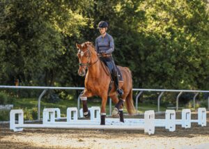 A person wearing a helmet rides a brown horse through a dressage arena with white poles on the ground, surrounded by trees and greenery on a sunny day, perfect for equestrian masterclasses.