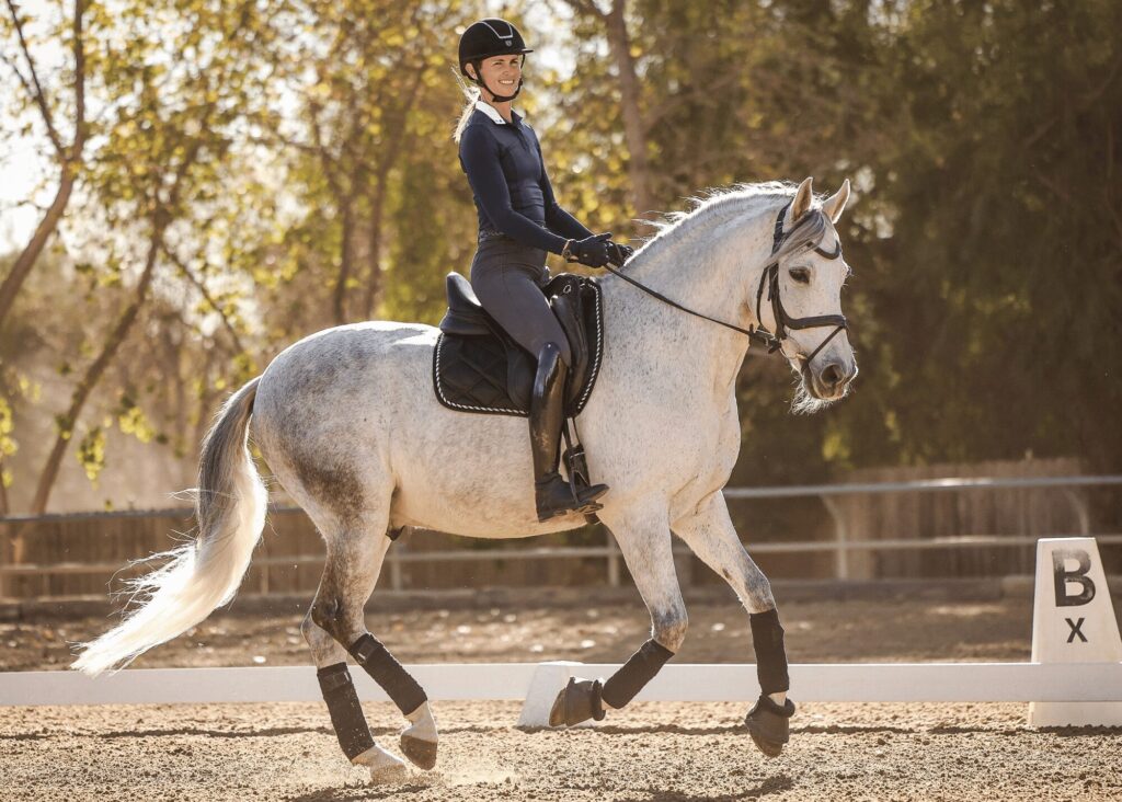 A person in riding gear and helmet rides a grey horse in an outdoor dressage arena, where Masterclasses often take place, with trees and a wooden fence in the background and a marker labeled B X visible.