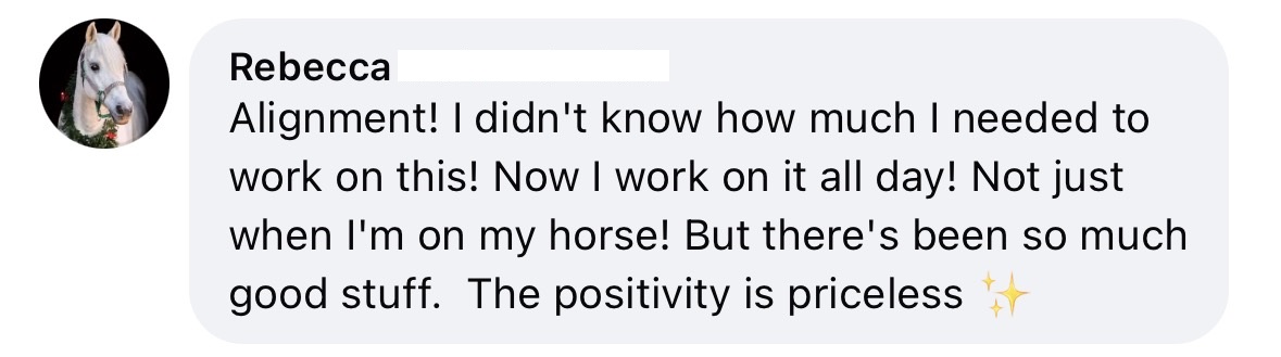A Facebook comment from Rebecca with a horse profile photo says, Alignment! I didnt know how much I needed to work on this!... The positivity is priceless ✨.