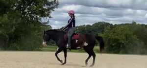 A student, wearing a pink helmet, rides a piebald horse with a pink saddle pad in a sand-based outdoor arena at Strides. The horse is working in the arena bordered by lush green trees under an overcast sky.