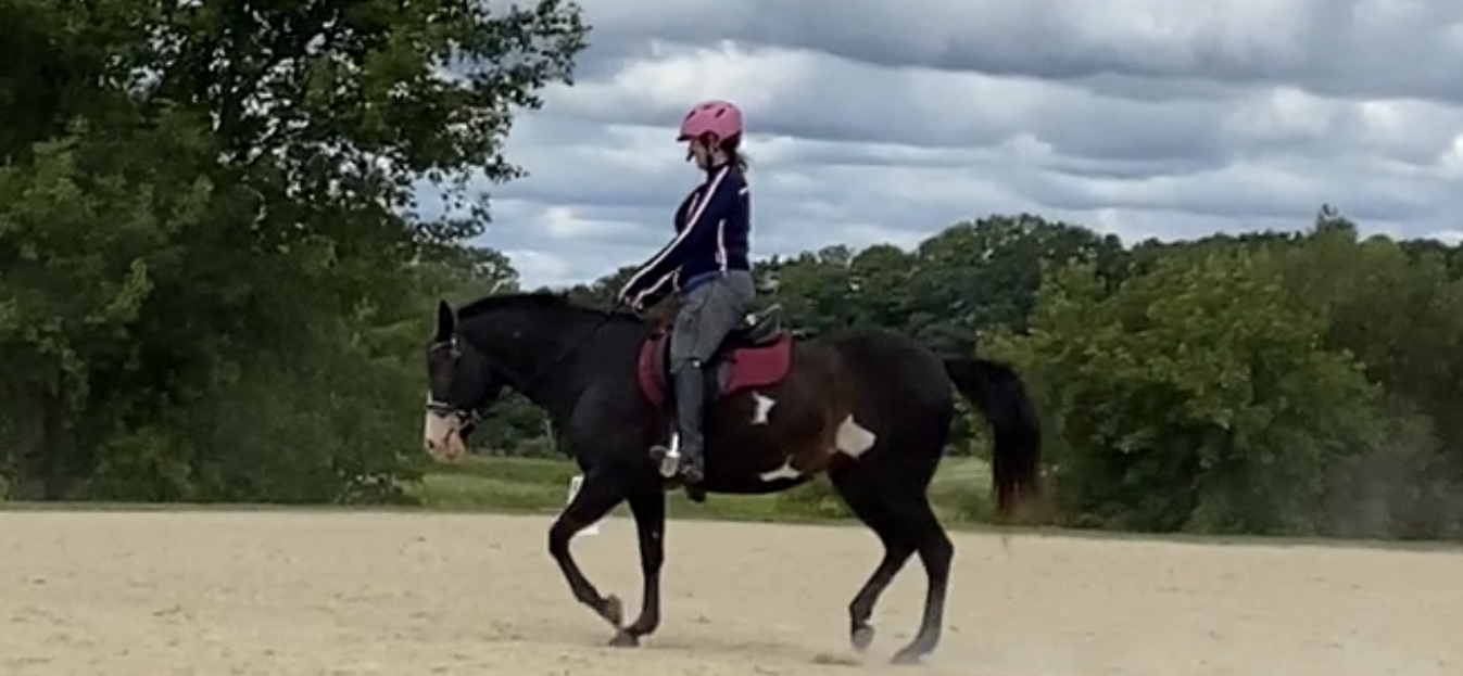 A student, wearing a pink helmet, rides a piebald horse with a pink saddle pad in a sand-based outdoor arena at Strides. The horse is working in the arena bordered by lush green trees under an overcast sky.
