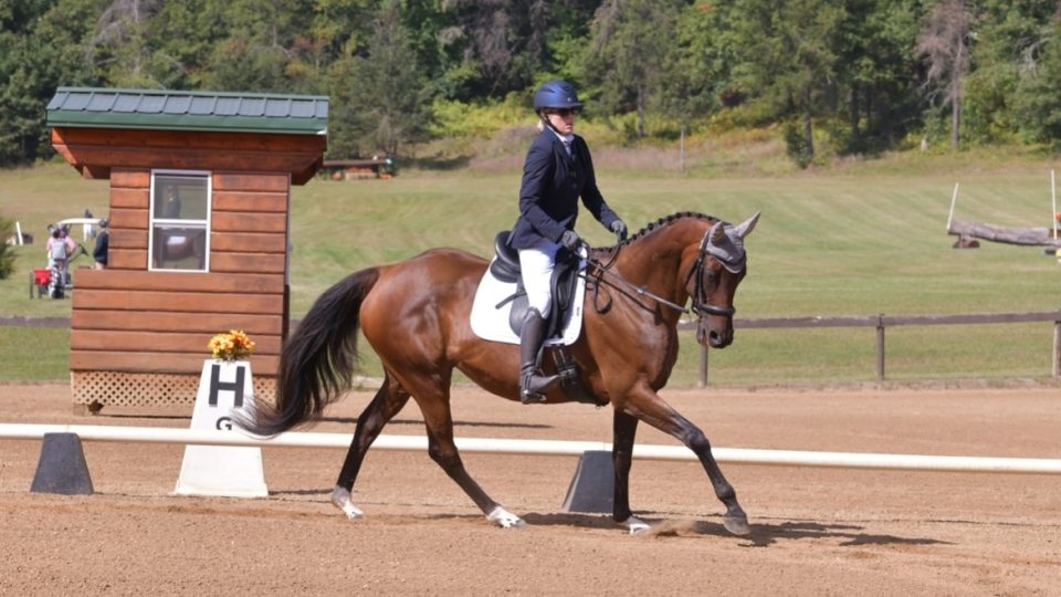 Member Tammy, in formal attire and helmet, guides a brown horse’s strides during a dressage test in an outdoor arena, with a wooden judges booth and green trees in the background.