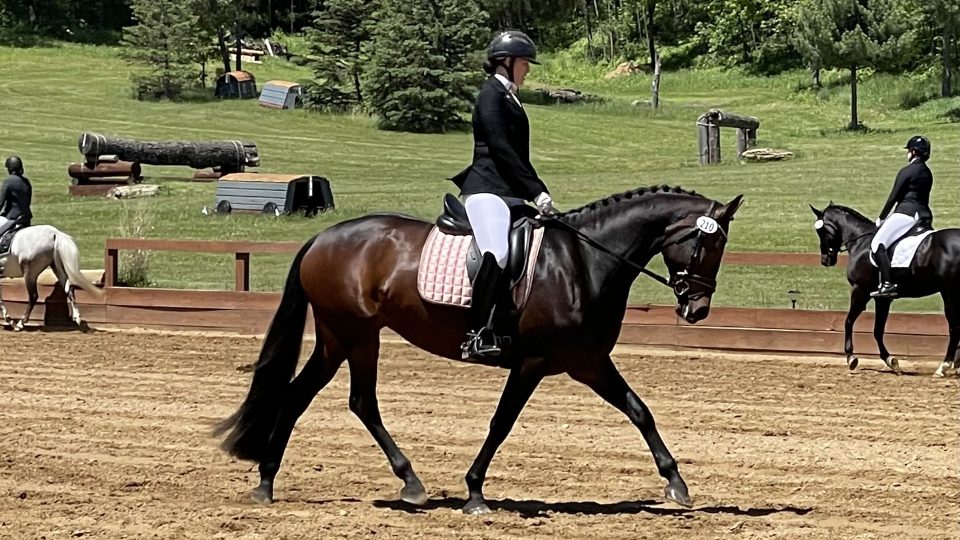 A rider in formal equestrian attire guides a dark brown horse with braided mane around a sandy arena—part of Amelia Newcomb’s NEW Program to Train your Eye—with other riders in the background and lush, green landscape beyond the fence.