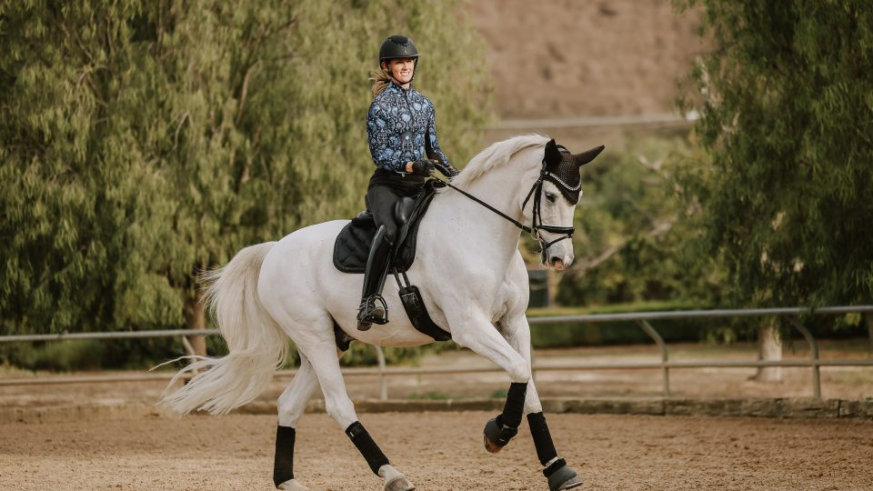 A person wearing a helmet and patterned shirt rides a white horse with black tack and leg wraps in an outdoor arena, surrounded by trees and a fence, during dressage lessons.