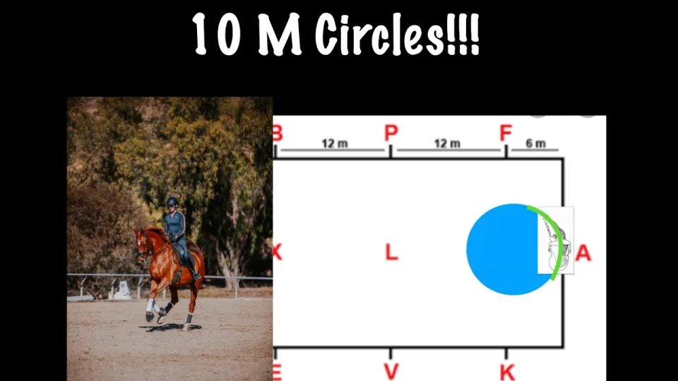 A rider on a brown horse turns in an arena. Next to them, a diagram shows a blue circle labeled ‘10 Meter Canter Circles’ with arena letters and measurements around it.