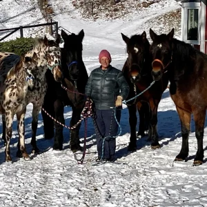 A person in a pink hat and winter coat stands outside in the snow, holding the reins of four horses—three dark brown and one spotted—on a sunny day. Trees and a building are in the background.