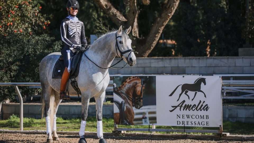 A person in a skeleton costume sits on a gray horse in an outdoor arena beside a sign reading Amelia Newcomb Dressage, promoting the 2023 Free Rider Position Webinar. Trees and a stone wall form the backdrop.