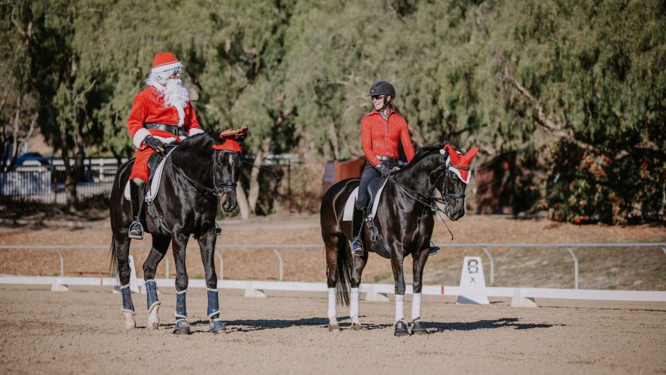 Two people riding black horses in an outdoor arena, both horses wear red and white hats. One rider is dressed as Santa Claus, the other in a red shirt and helmet—wishing Your Family Happy Holidays amidst trees and a dressage marker.
