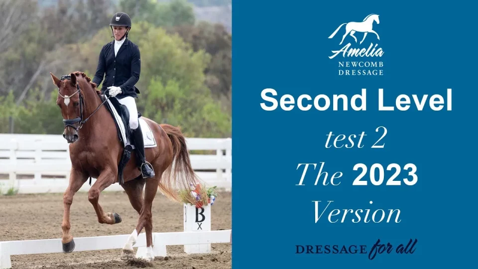 A rider in formal dressage attire rides a chestnut horse in an outdoor arena. On the right, text reads: Second Level Test 2, 2023 Version. Dressage for all. Amelia Newcomb Dressage with a horse logo above.