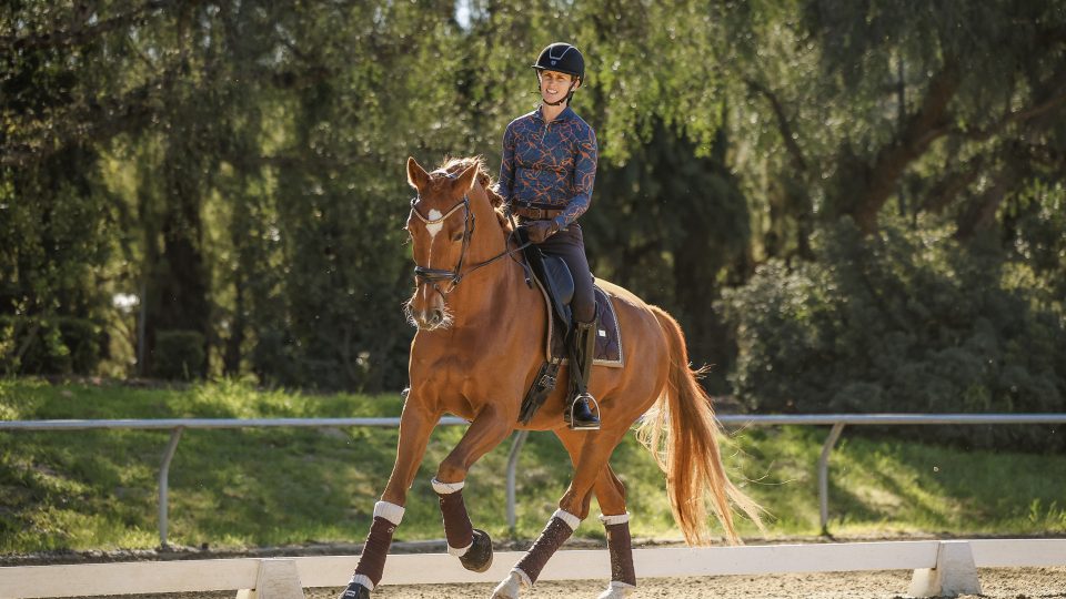 A person wearing a helmet and patterned shirt rides a chestnut horse on a sandy outdoor arena, surrounded by greenery and trees on a sunny day, featured in our May 2024 Newsletter.