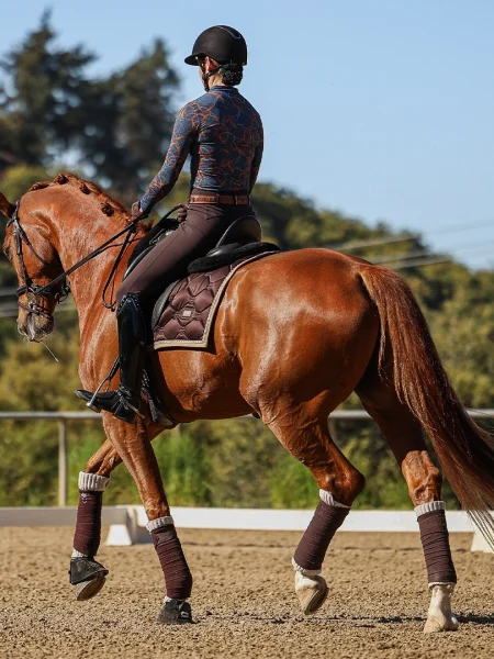 A rider in a helmet and patterned top rides a chestnut horse with bandaged legs in a sandy outdoor arena, showcasing the Training Scale, surrounded by lush trees under a clear 2024 sky—perfect for your Sale Page.