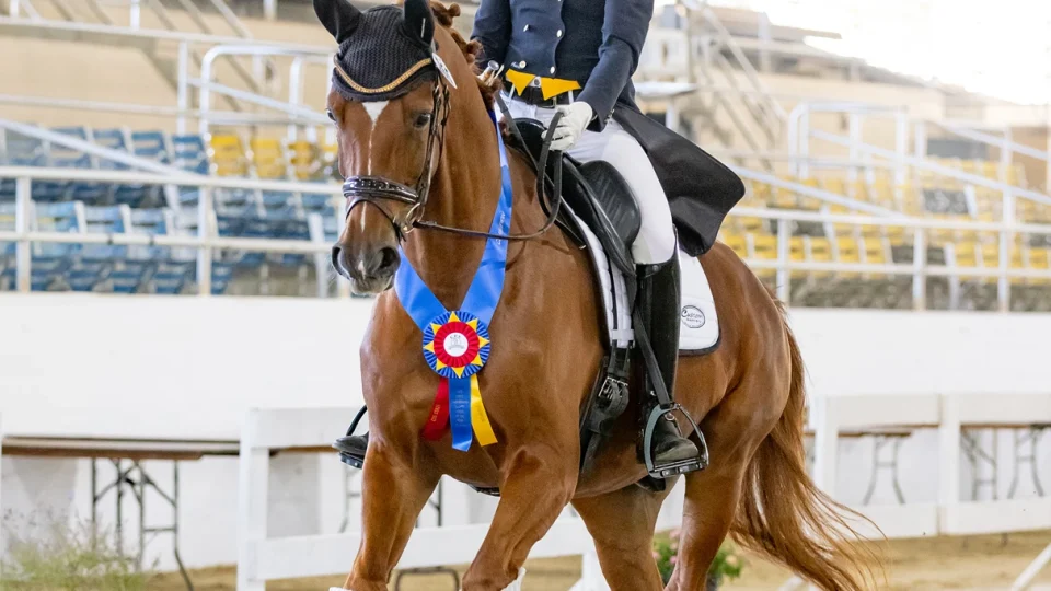 A rider in formal equestrian attire smiles while riding a chestnut horse wearing a blue, yellow, and red rosette. They are indoors, with empty bleachers in the background, on a sandy arena floor.
