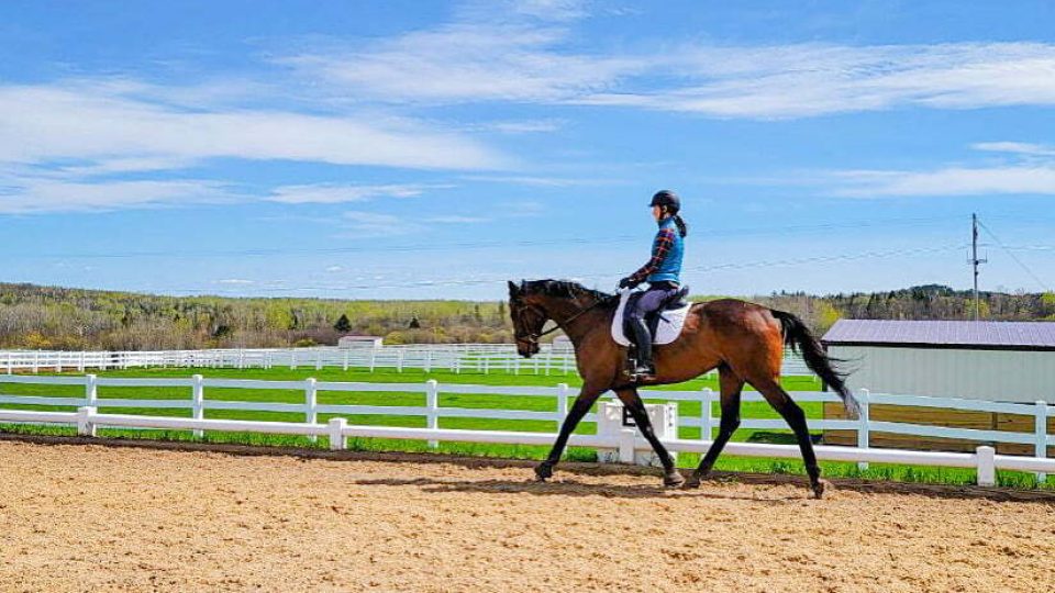 A person wearing a helmet rides a brown horse in an outdoor sandy arena, framed by a white fence, green fields, and blue sky—an ideal scene to Train Your Eye, just like at Kjersin.