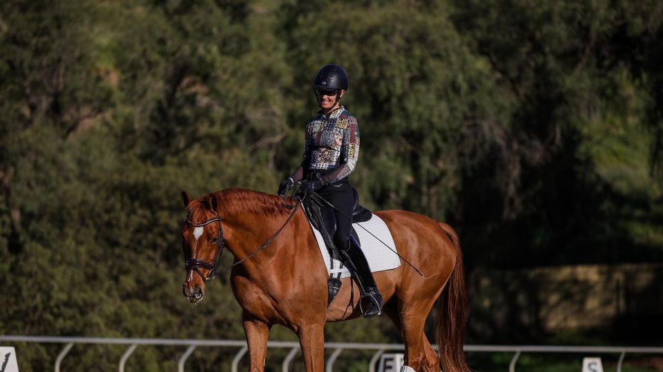 A person in an equestrian helmet and patterned shirt is riding a chestnut horse in an outdoor arena, surrounded by trees, with lettered dressage markers visible on the fence.