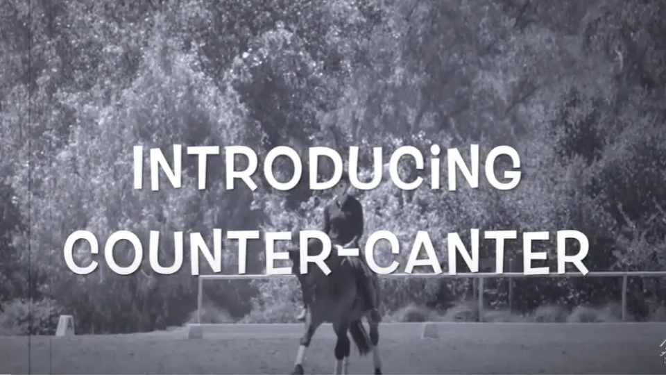 How to Introduce the Counter Canter