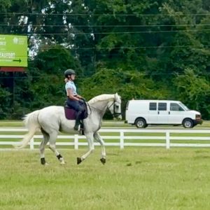 A person in a helmet and riding gear is riding a white horse in a grassy field near a white fence. In the background, there is a white van on the road and a green billboard with trees behind it.