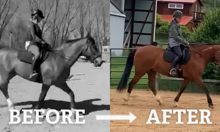 Split image showing a rider on a horse in black and white labeled “BEFORE” on the left, and the same rider and horse in color labeled “AFTER” on the right. The horse’s posture appears improved in the “AFTER” image.