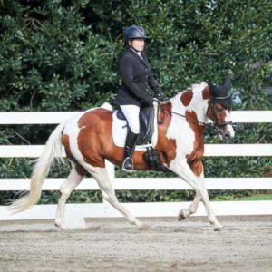 Claudia, dressed in equestrian attire, rides a brown and white pinto horse in an outdoor arena bordered by a white fence and green trees—perfect inspiration to train your eye for detail.