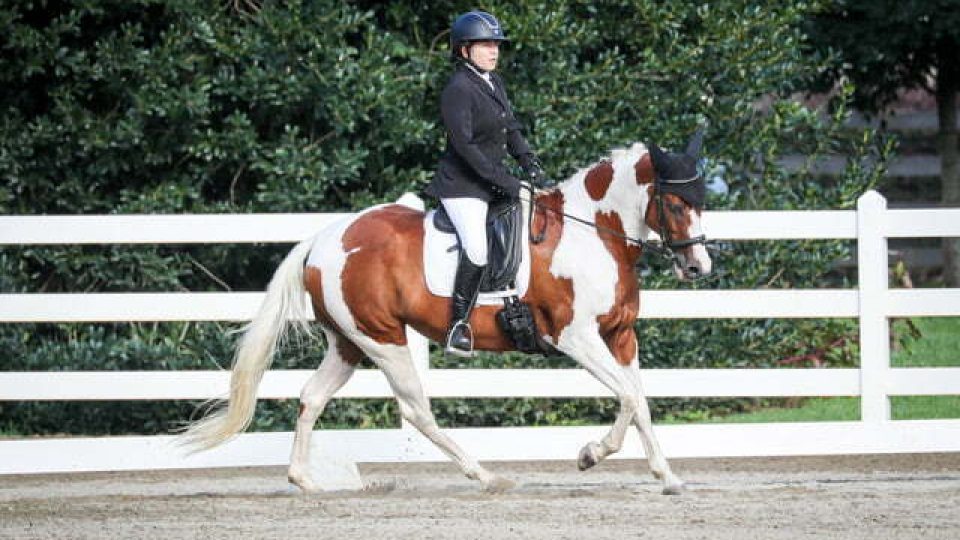 Claudia, dressed in equestrian attire, rides a brown and white pinto horse in an outdoor arena bordered by a white fence and green trees—perfect inspiration to train your eye for detail.